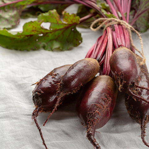 Beet, Cylindra (Organically Grown Seeds) (SGH)