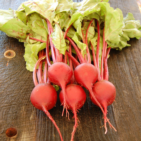 Beet, Early Wonder Tall Top Organic