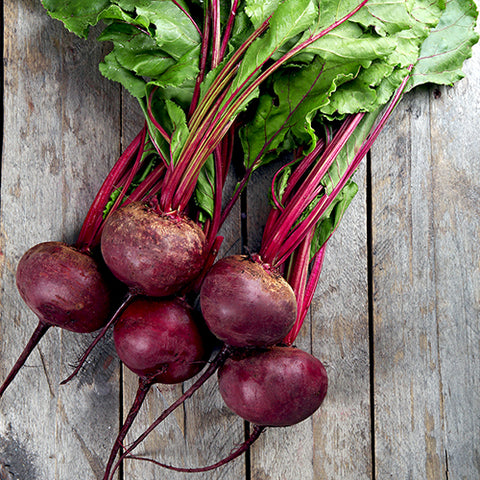 Beet, Kamuolini 2 (Organically Grown Seeds)
