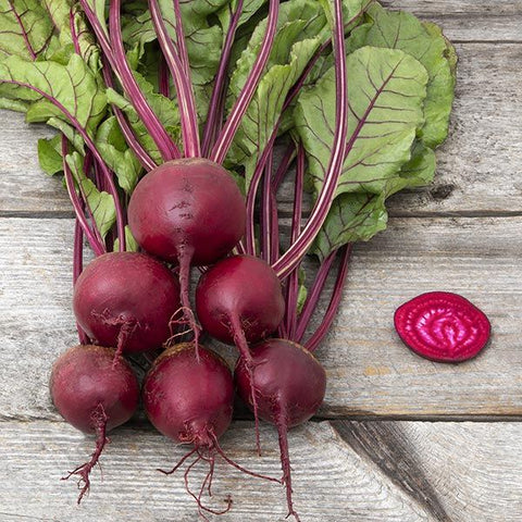 Beet, Shiraz (Certified Organic Seeds)