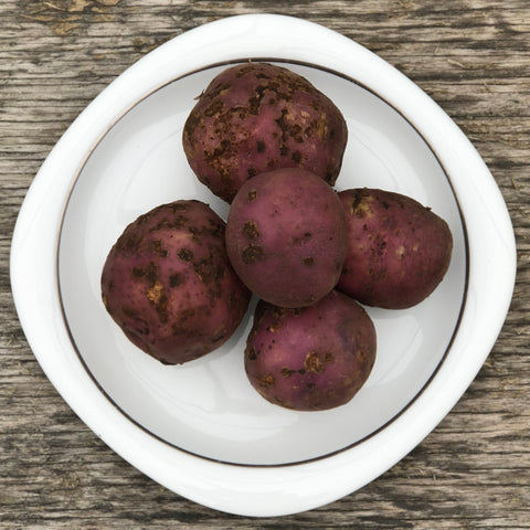 Seed Potato - Blue Mac (Certified Organic)