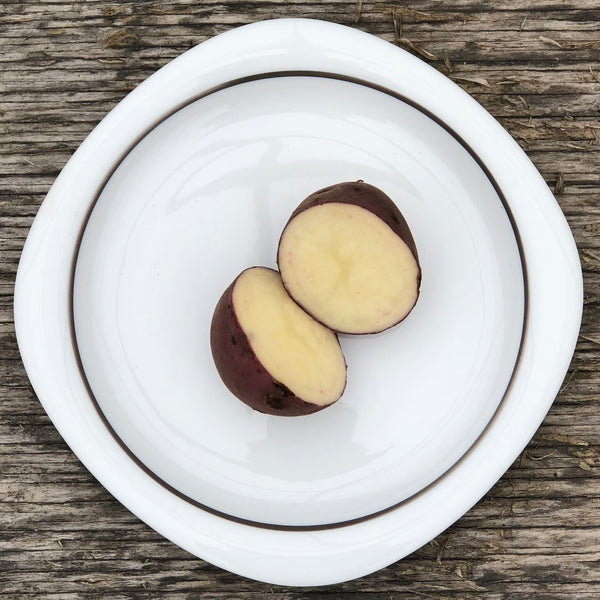 Seed Potato - Blue Mac (Certified Organic)