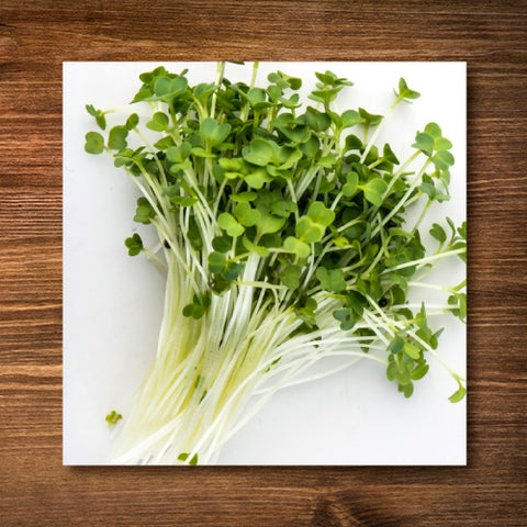 Broccoli Raab (Rapini) Sprouting/ Microgreen Seeds - Certified Organic