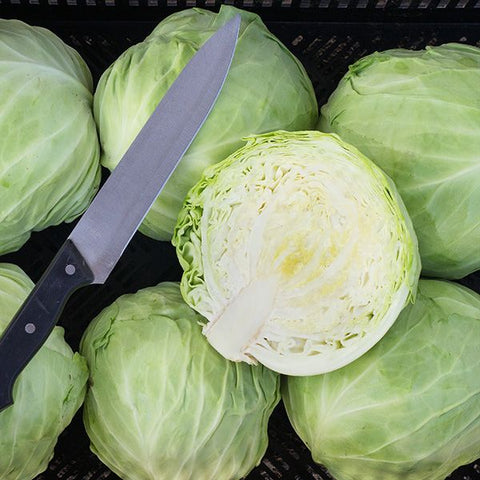 Organic Faro Cabbage at Sage Garden