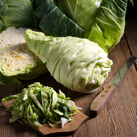 Cabbage, Filderkraut (Organically Grown Seeds)