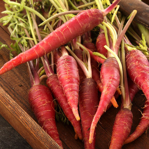 Carrot, Atomic Red (Organically Grown Seeds)