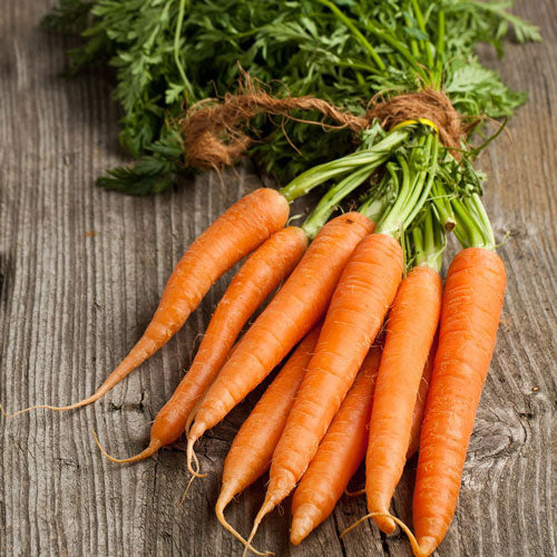 Carrot, Little Fingers (Organically Grown Seeds)