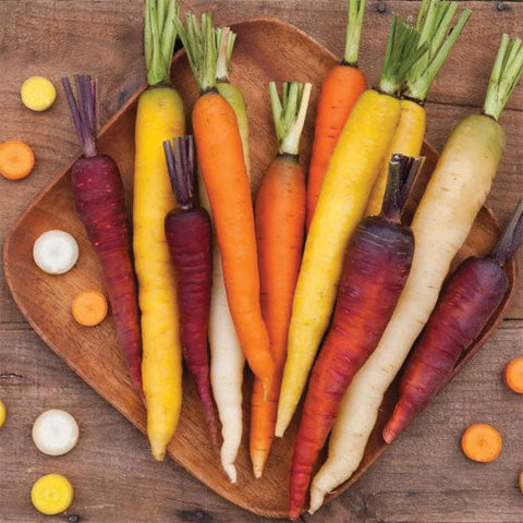 Starburst carrot blend at Sage Garden Greenhouses