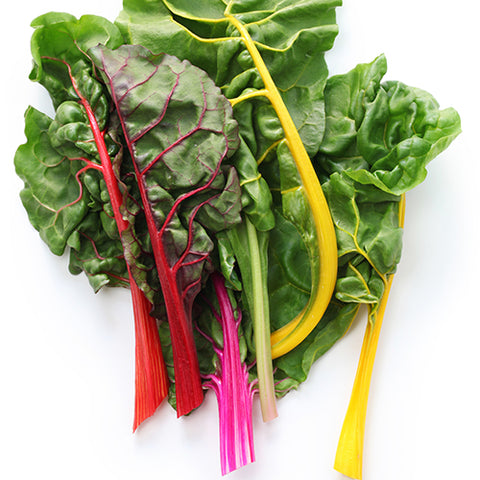 Chard, Rainbow Mix (Organically Grown Seeds)