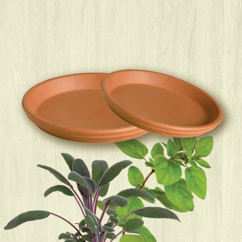 Terracotta Saucer