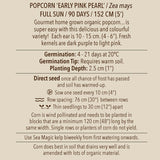 Corn, Early Pink Pearl Popcorn (Organically Grown Seeds)