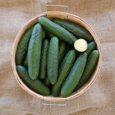 Organic Marketmore Cucumber
