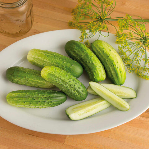 Cucumber, Cool Customer (Organically Grown Seeds)