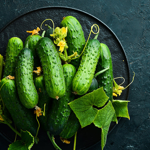 Cucumber, Double Yield (Organically Grown Seeds)