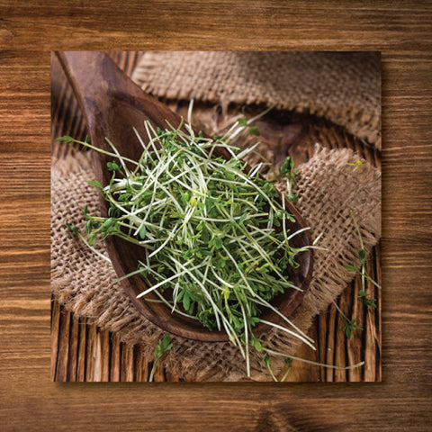 Curly Cress Sprouting/ Microgreen Seeds - Certified Organic