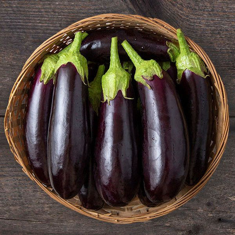 Seeds - Eggplant, Diamond OG (HM)