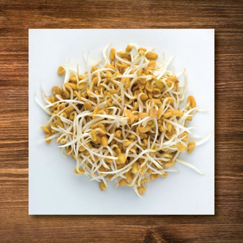 Fenugreek Sprouting/ Microgreen Seeds - Certified Organic