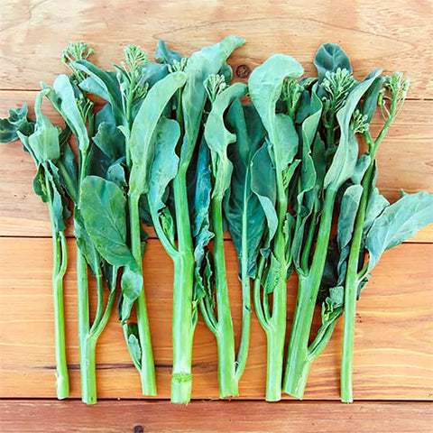 Gai Lan, Blue Star (Organically Grown Seeds)