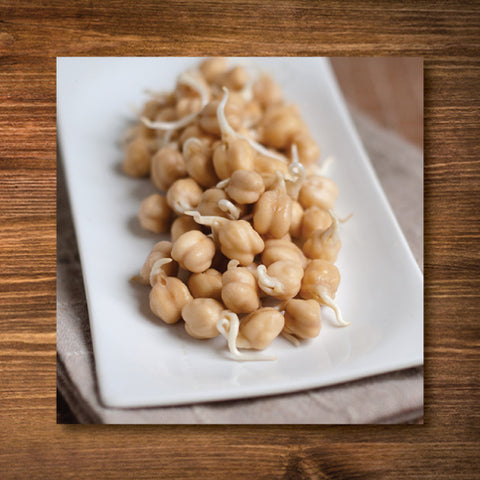 Garbanzo Bean Sprouting Seeds - Certified Organic