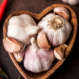 Bulbs - Garlic, Chesnok Red  (Certified Organic) - PREORDER