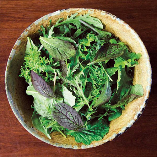 Salad Mix, Gemstone Greens (Certified Organic Seeds)