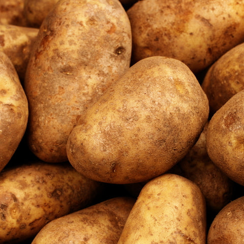 Seed Potato - Gold Rush (Certified Organic)