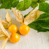 Ground Cherry, Goldie (Certified Organic Seeds)