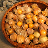 Organic Goldie Ground Cherry