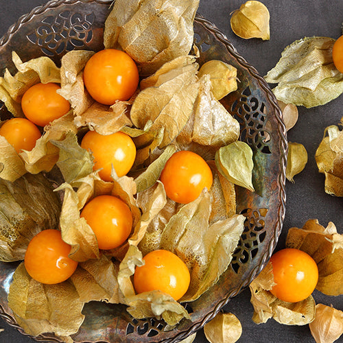 Ground Cherry, Aunt Molly's (Organically Grown Seeds)