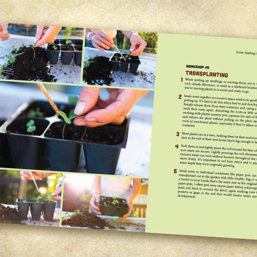 Grow What You Love: 12 Food Plant Families To Change Your Life (Discount Book)