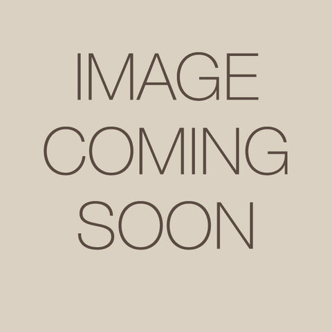 Live Plant - Toothache Plant (Acmella, Bull's Eye, Electric Buttons, Peek-A-Boo)