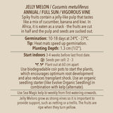 Cucumber, Jelly Melon (Organically Grown Seeds) (SGH)