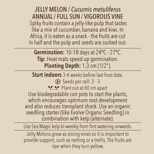 Seeds - Cucumber, Jelly Melon OG (SGH)