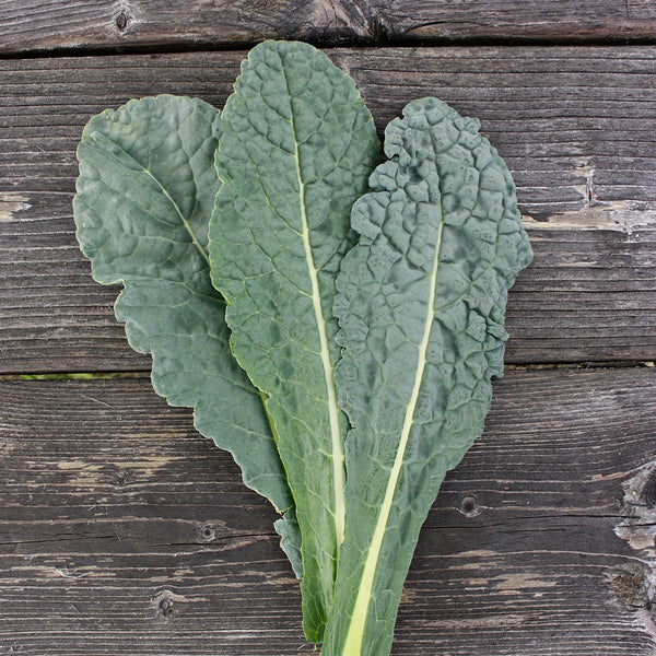 Organic Lacinato Kale