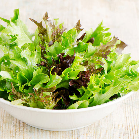 Seeds - Lettuce, Gourmet Blend OG (HM)