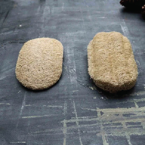 Plantish Loofah Dishwashing Sponge