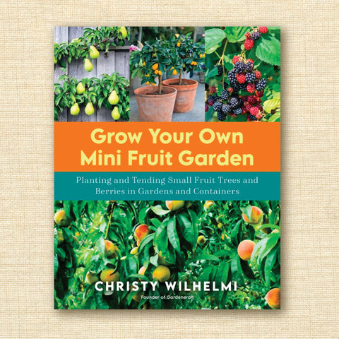 Grow Your Own Mini Fruit Garden