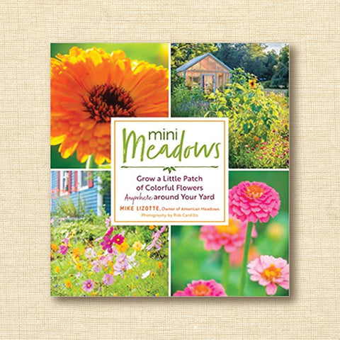 Mini Meadows: Grow a Little Patch of Colorful Flowers Anywhere Around Your Yard