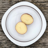 Seed Potato - Norland (Certified Organic)