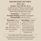 Onion, Deep Purple Bunching (Organically Grown Seeds)