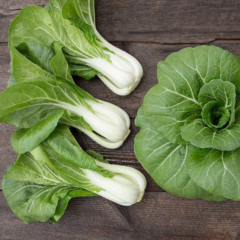Pak Choy, Bopak F1 (Certified Organic Seeds)