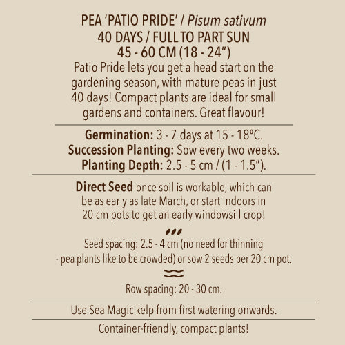 Pea (Snap), Patio Pride (Organically Grown Seeds)