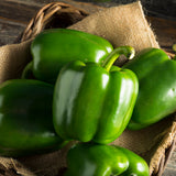 Pepper (Sweet), Emerald Giant (Organically Grown Seeds)