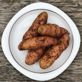 Seed Potato - Pink Fir Apple (Certified Organic)