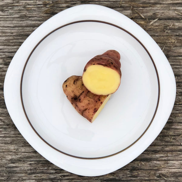 Seed Potato - Pink Fir Apple (Certified Organic)