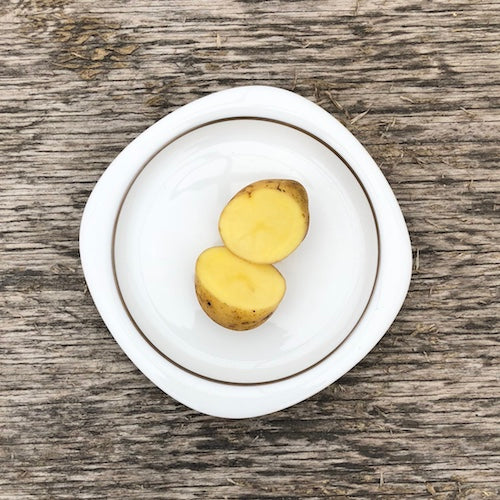 Seed Potato - German Butterball (Certified Organic)