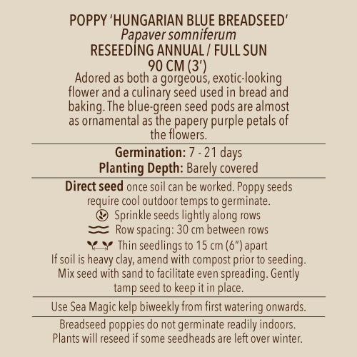 Seeds - Poppy, Blue Breadseed Hungarian OG (SGH)