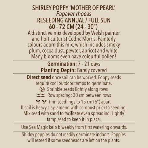 Seeds - Poppy (Shirley), Mother of Pearl OG (SGH)