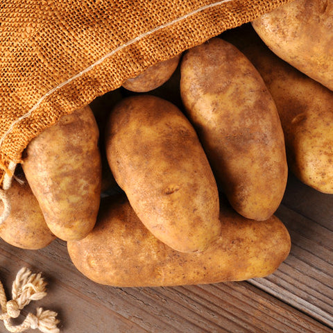 Seed Potato - Russet Burbank (Certified Organic)