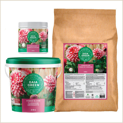 Gaia Green Power Bloom 2-8-4